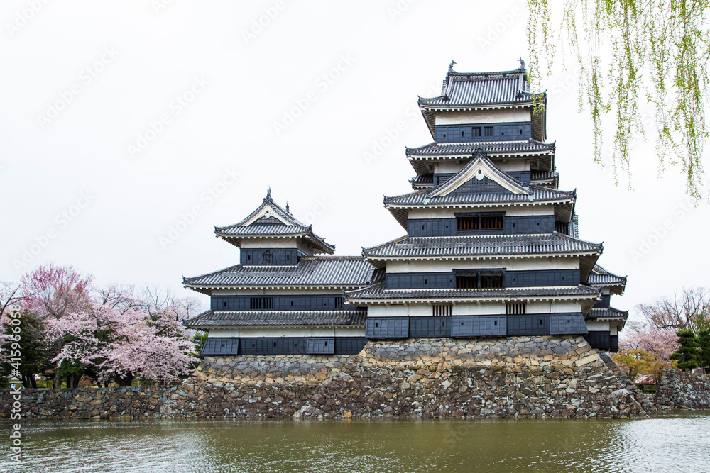 View of Matsumoto castle during Cherry Blossom full bloom , Nagano Prefecture, Japan. View of Matsumoto castle during Cherry Blossom full bloom , Nagano Prefecture, Japan.