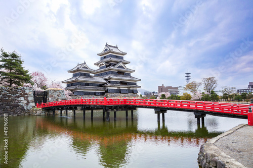 View of Matsumoto castle during Cherry Blossom full bloom , Nagano Prefecture, Japan.