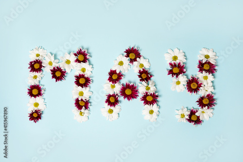 The lettering may, made of flowers on blue background. Hello, may. Concept of flowering, spring