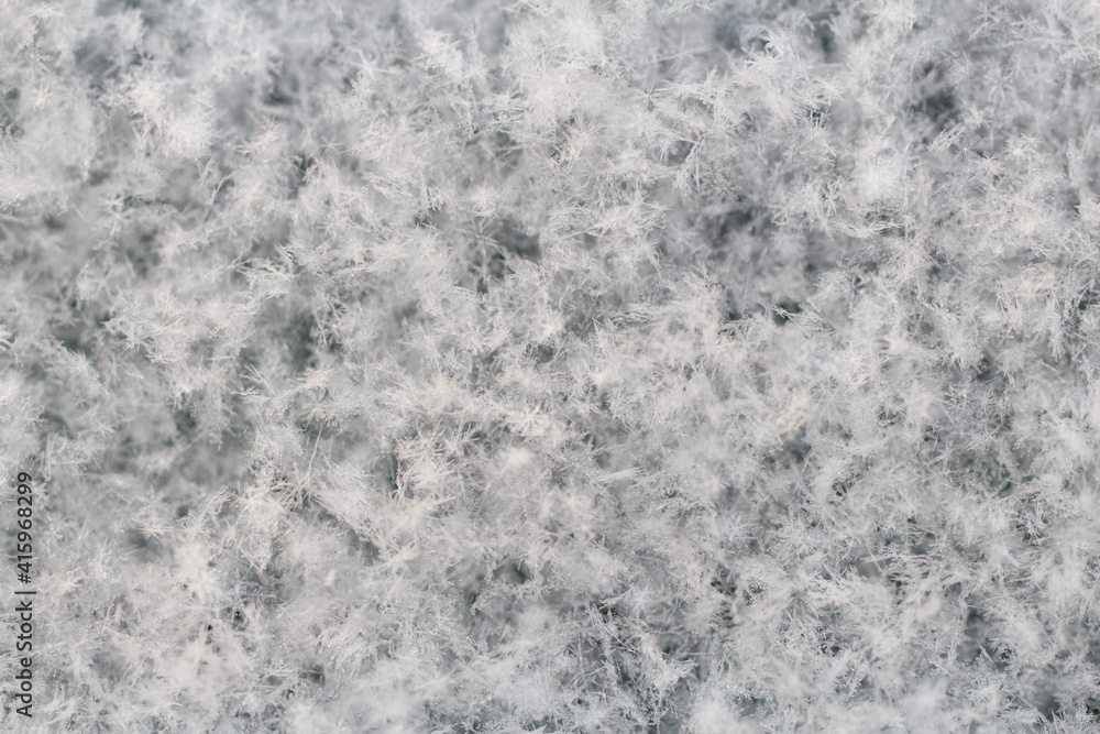 Obraz premium snow background. white background. christmas card background image