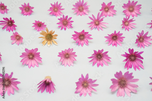 Pink flowers on a background pattern as an idea