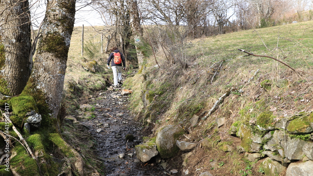 rando dans les chemins creux auvergnats rando dans les chemins creux auvergnats