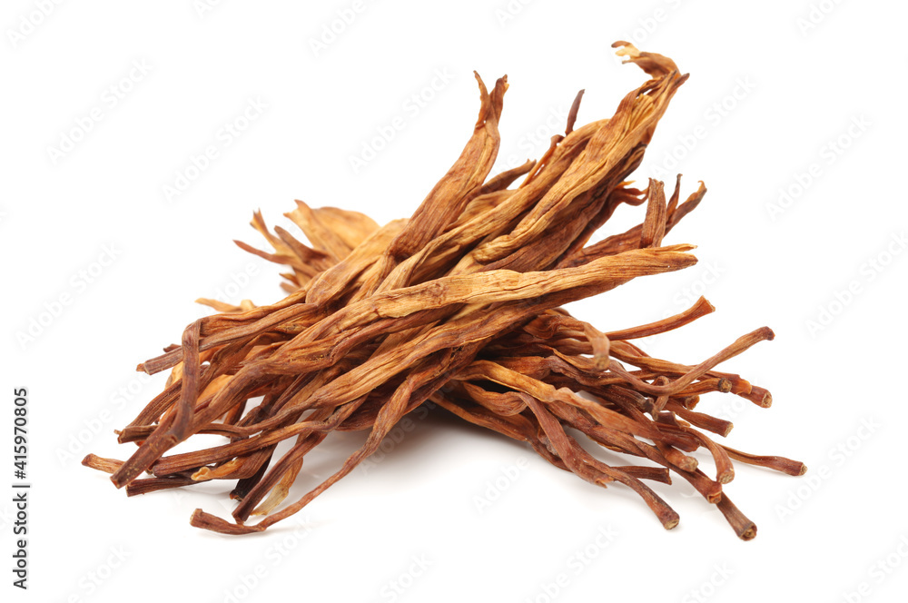 Obraz premium Dried Lily Buds on white background 