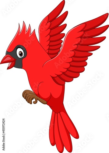 Cartoon cardinal bird flying on white background
