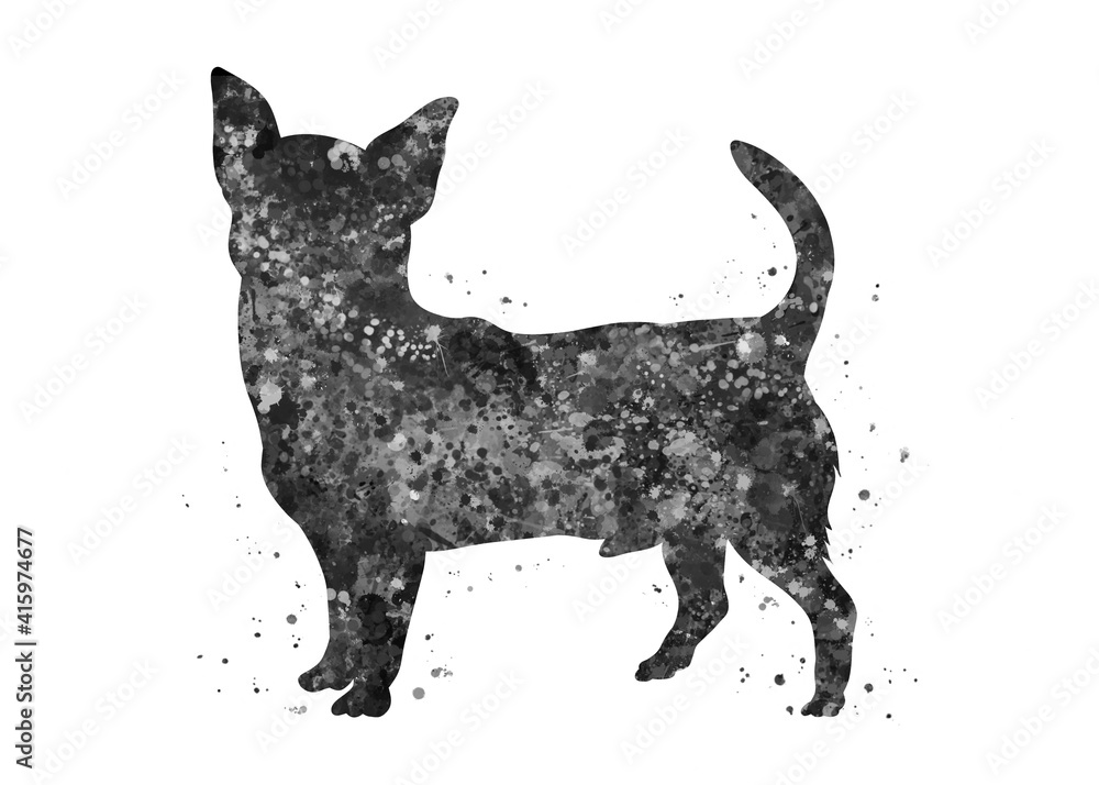 Chihuahua Dog black and white watercolor, abstract painting. Watercolor illustration rainbow, colorful, decoration wall art. Chihuahua Dog black and white watercolor, abstract painting. Watercolor illustration rainbow, colorful, decoration wall art.