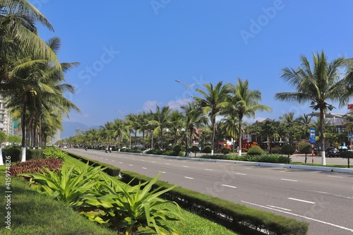 Palm trees on the beach, My Khe Beach, Da Nang, Vietnam