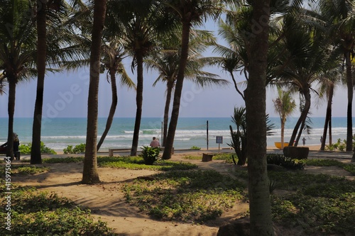 Palm trees on the beach, My Khe Beach, Da Nang, Vietnam