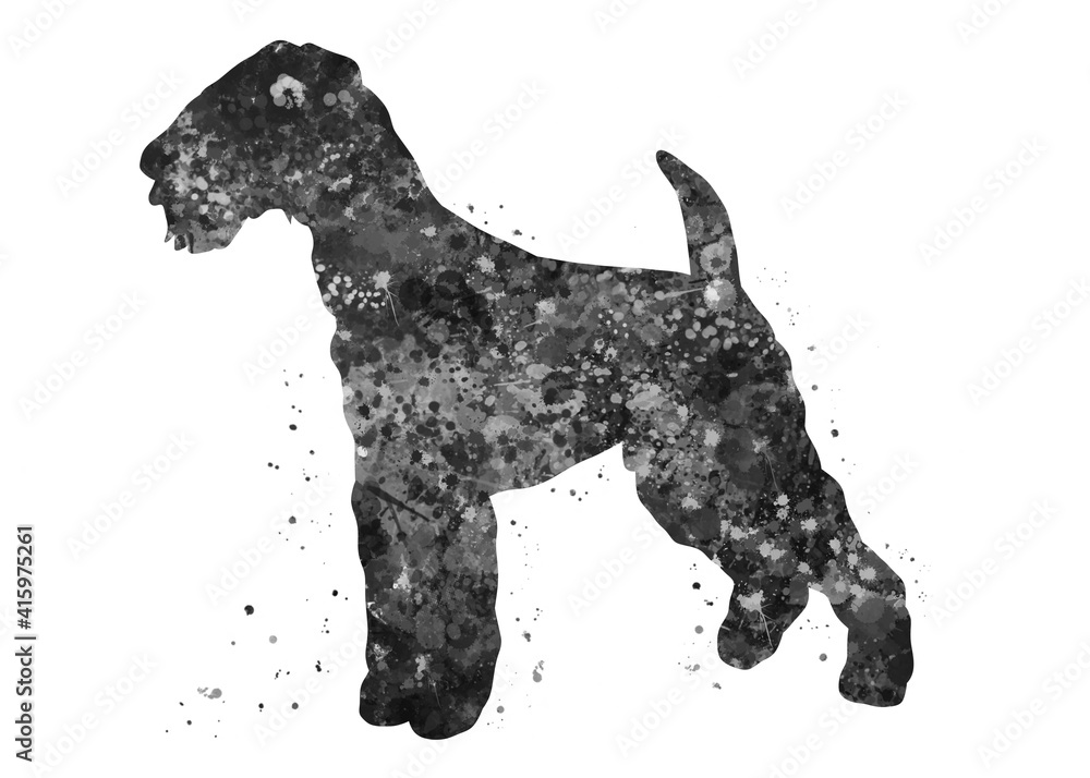 Airedale Terrier Dog black and white watercolor, abstract painting. Watercolor illustration rainbow, colorful, decoration wall art. Airedale Terrier Dog black and white watercolor, abstract painting. Watercolor illustration rainbow, colorful, decoration wall art.