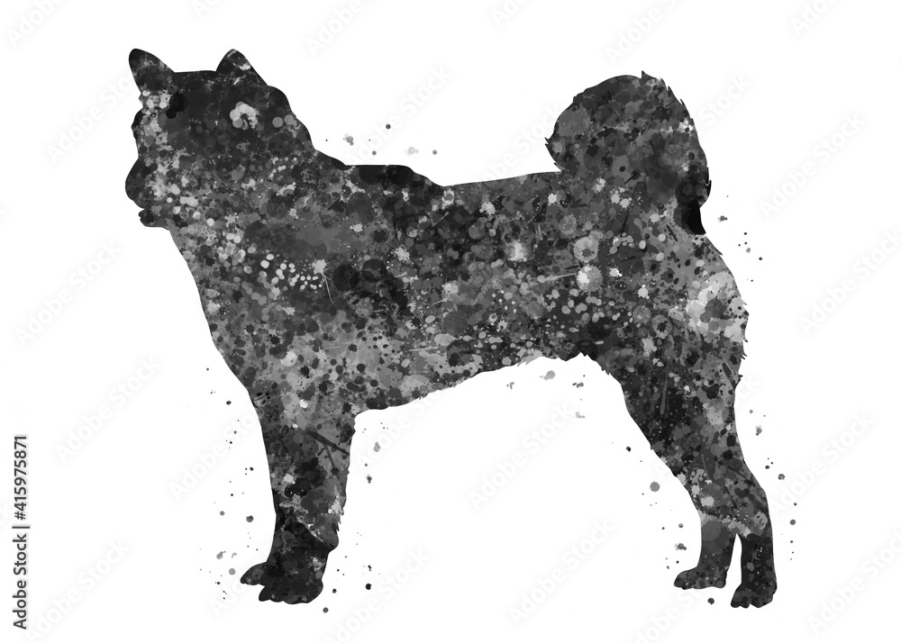 Shiba inu Dog black and white watercolor, abstract painting. Watercolor illustration rainbow, colorful, decoration wall art. Shiba inu Dog black and white watercolor, abstract painting. Watercolor illustration rainbow, colorful, decoration wall art.