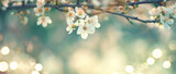Spring blossom background. Beautiful nature scene with blooming tree and sun flare. Sunny day. Spring flowers. Beautiful Orchard. Abstract blurred background. Cherry or sakura blossoms. Springtime. 