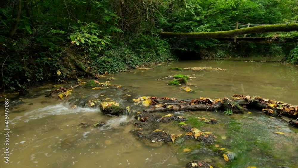 Flowing stream in autumn forest. Real time shot Flowing stream in autumn forest. Real time shot