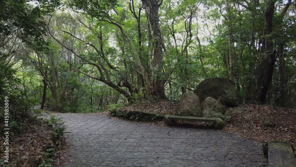 屋久島 千尋滝 屋久杉 国立公園 鹿児島 屋久島 千尋滝 屋久杉 国立公園 鹿児島