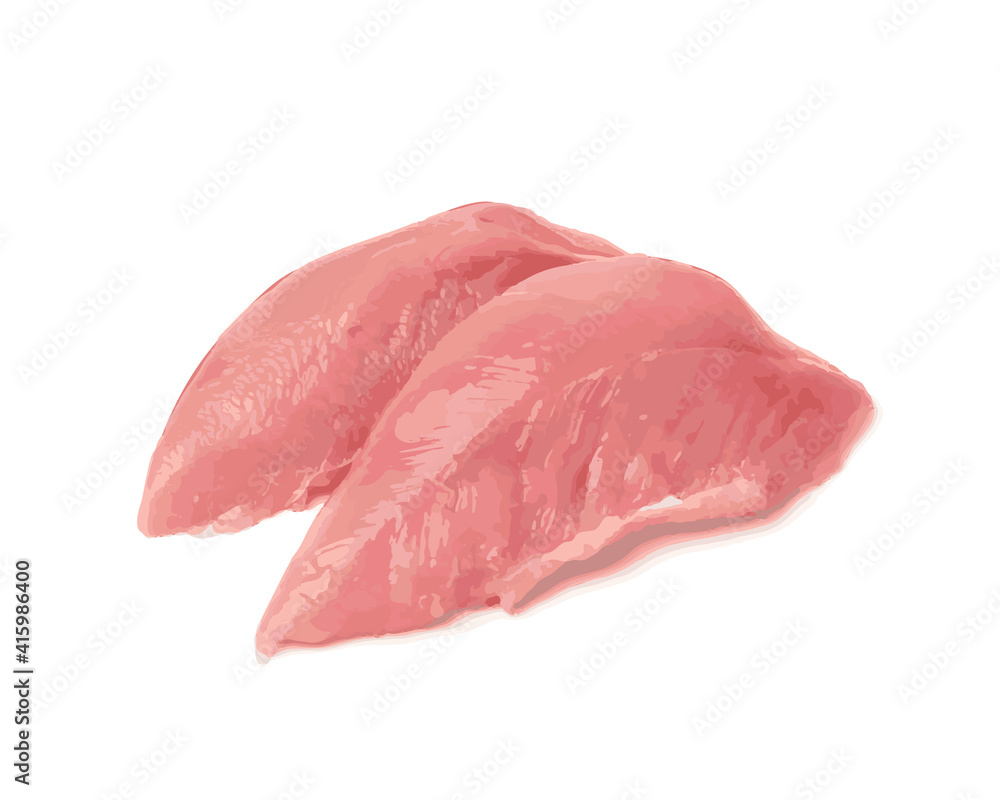 Fresh Uncooked Raw Turkey Fillet Breast Meat Isolated Fresh Uncooked Raw Turkey Fillet Breast Meat Isolated