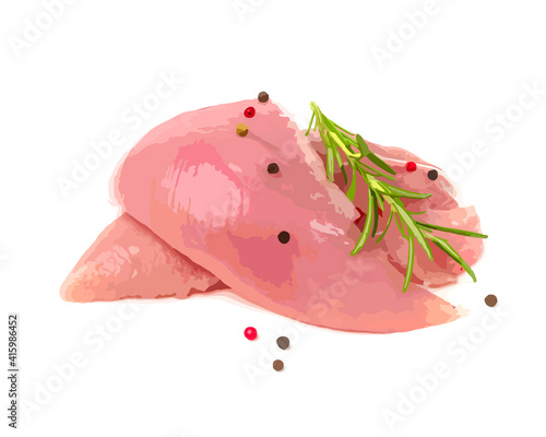 Fresh Uncooked Raw Turkey Fillet Breast Meat Isolated