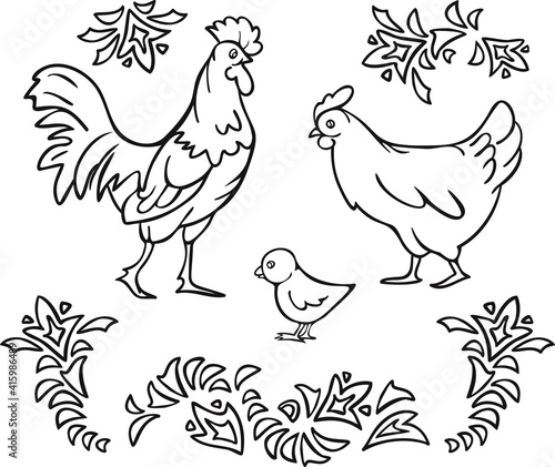 Vector illustration of rooster, brood hen, chick and abstract floral decorations. Design for coloring book.