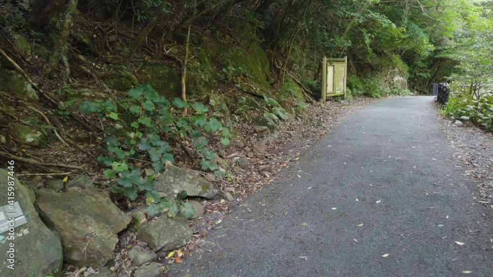 屋久島 大川の滝 屋久杉 国立公園 鹿児島 屋久島 大川の滝 屋久杉 国立公園 鹿児島