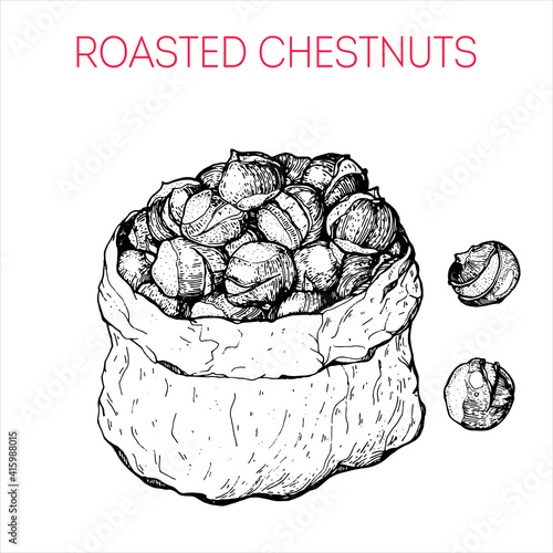 Roasted chestnuts in a bag. Chestnut food. Vintage hand drawn sketch. Vector illustration.