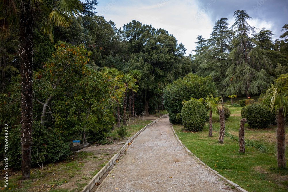 Yalta, Crimea, November 24, 2020, Massandra Park, views of trees-palm trees, fir trees and others