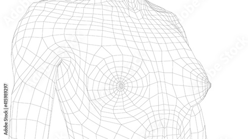 Wireframe female breast. Close-up view