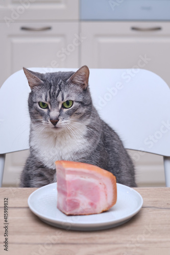 Cat thief looks at the sausage on the home table. Pet tries to steal a piece of meat in the kitchen