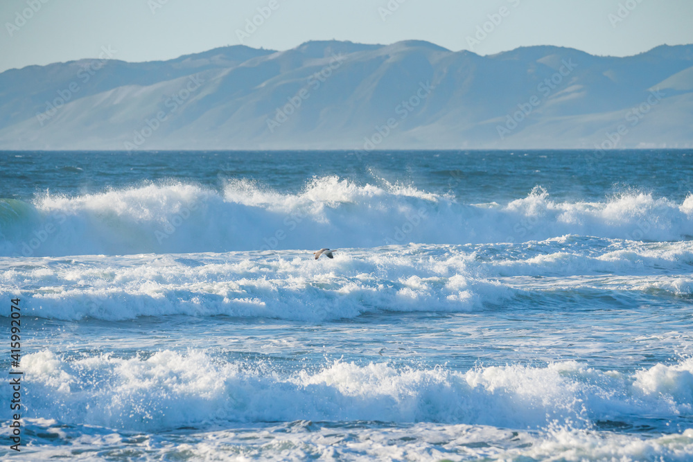 Stormy Pacific ocean and one flying bird, mountains and clear blue sky on background, CA
