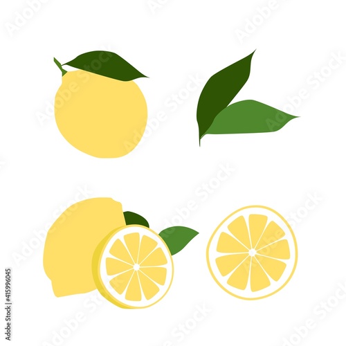 Flat vector lemon in isolated background, vector illustration set of lemons, slice of fresh lemons