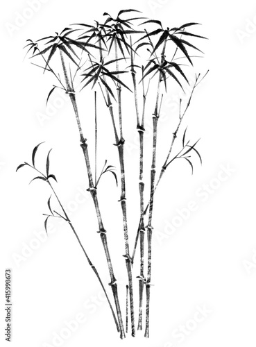 Digital illustration of bamboo  black and white.