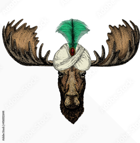 Vector wild moose, elk portrait. Moose head, face. Animal and wizard hat. Sorcerer and magican photo