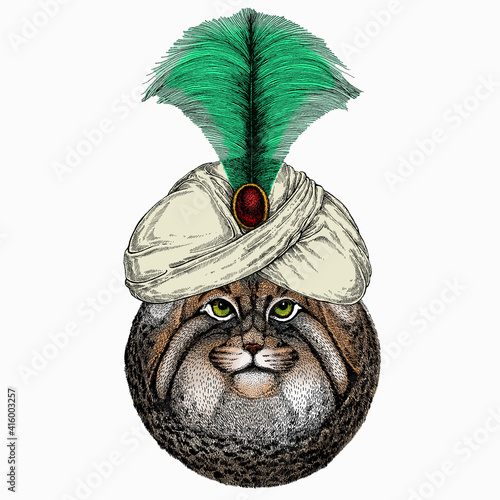 Pallass cat. Vector portrait, wild cat head, wild cat face. Animal and wizard hat. Sorcerer and magican photo