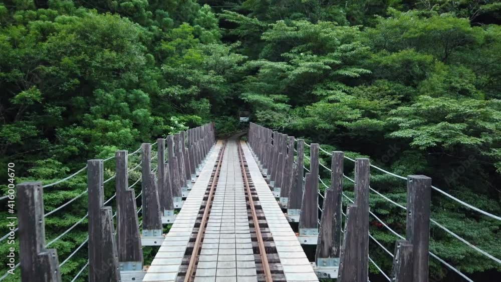 屋久島 屋久杉 縄文杉トレッキング 国立公園 鹿児島 屋久島 屋久杉 縄文杉トレッキング 国立公園 鹿児島