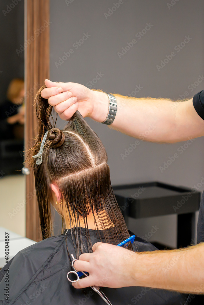 Male hairdresser holds and splits long hair of a young brunette woman in a hair salon Male hairdresser holds and splits long hair of a young brunette woman in a hair salon