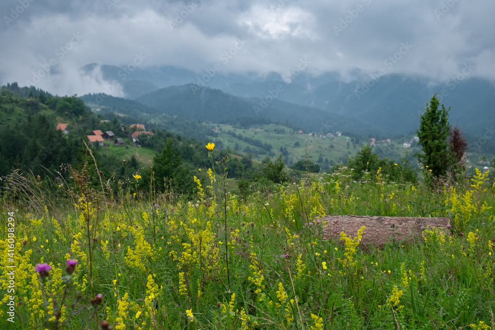 A view of the meadow with wild yellow flowers and tree log, with slopes of the hills covered with trees and scarce houses in the distance, with misty mountains and stormy clouds in the background