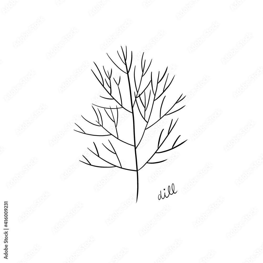 Fototapeta premium illustration of dill drew with black ink isolated on a white background