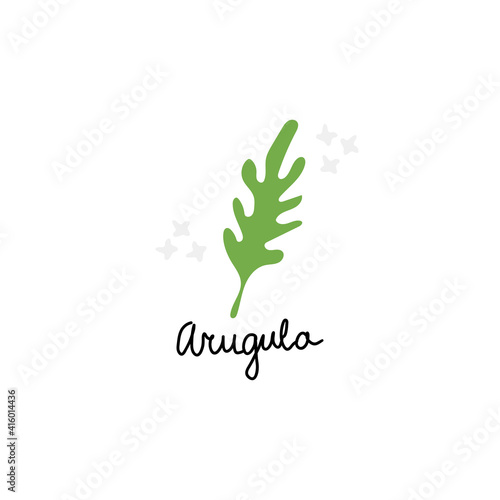 Arugula salad or rucola leaves hand drawn cartoon doodle vector illustration