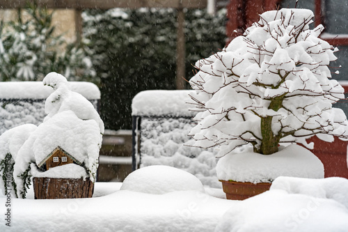 The first snow of the year covers the plants on the garden table in Zoetermeer