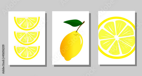 Set of posters with lemons. Illustration on white background with fruits. For home interior decoration and decor in restaurants, cafes, menus. Vector drawing.