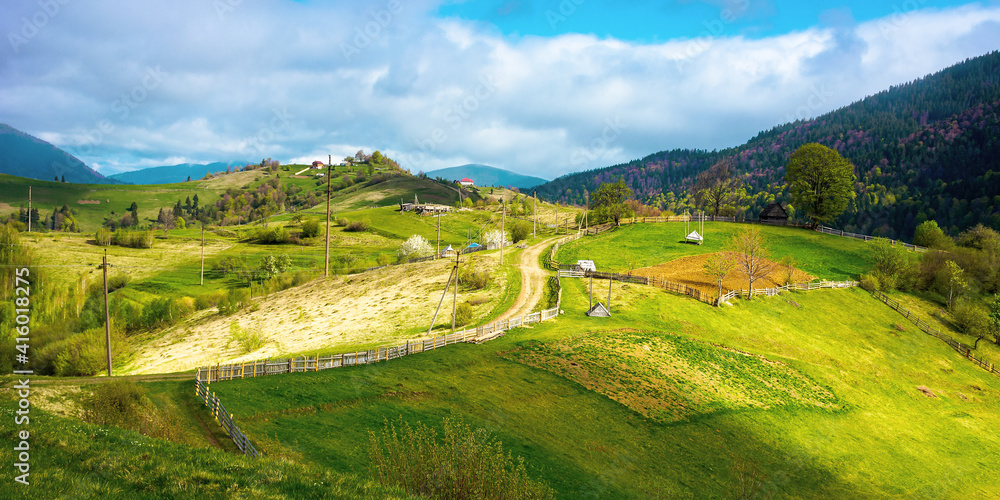 rural landscape of carpathian mountains. fields and trees on rolling hills. ukrainian village in countryside. spring scenery in dappled light