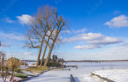 Tree on the lakeside of the frozen Paterswoldse Meer lake in Groningen, Netherlands photo