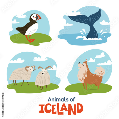 Animals of Iceland in flat modern style design