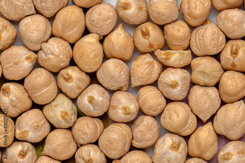 Closeup chickpeas seed background  texture.