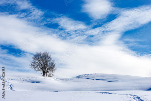 Lonely bare tree in a winter landscape with snow on blue sky with clouds. Lessinia Plateau (Altopiano della Lessinia), Regional Natural Park, Verona Province, Veneto, Italy, Europe © Alberto Masnovo