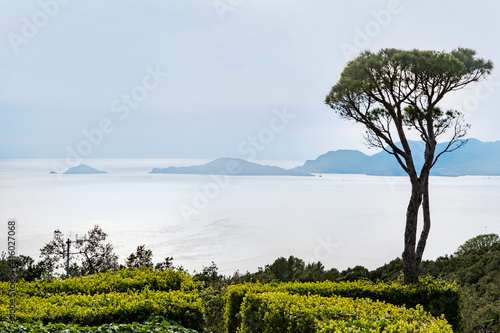 Golfo dei Poeti photo