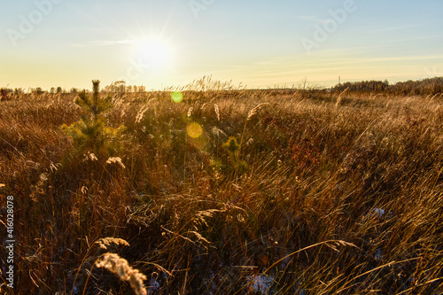 beautiful field in Russia in autumn