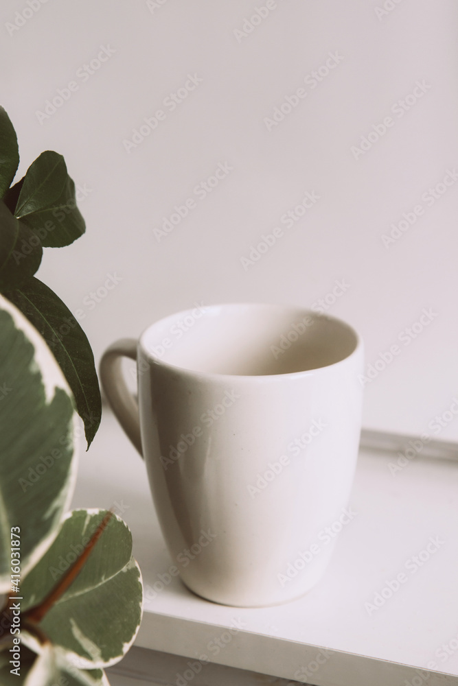 Breakfast still life. Cup of coffee and indoor evergreen potted plant on a light background. Scandinavian working space, home office Breakfast still life. Cup of coffee and indoor evergreen potted plant on a light background. Scandinavian working space, home office