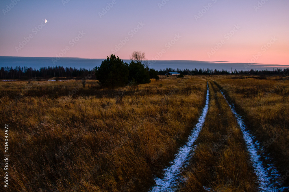 Fototapeta premium road through the field at dusk