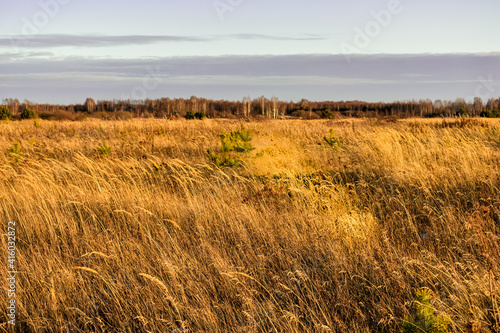 beautiful field in Russia in autumn