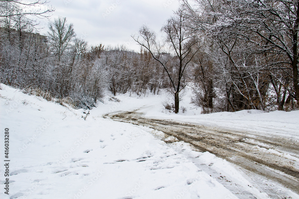 Walking way in the winter nature in city sumy in Ukraine. Winter trees covered with snow and a dirty road with snow against background Walking way in the winter nature in city sumy in Ukraine. Winter trees covered with snow and a dirty road with snow against background