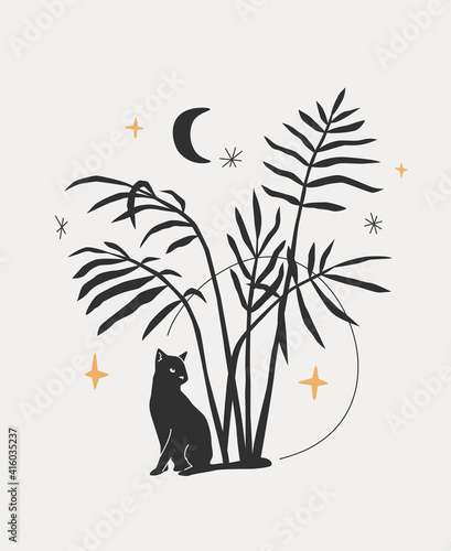 Cat Under Palm Plant
