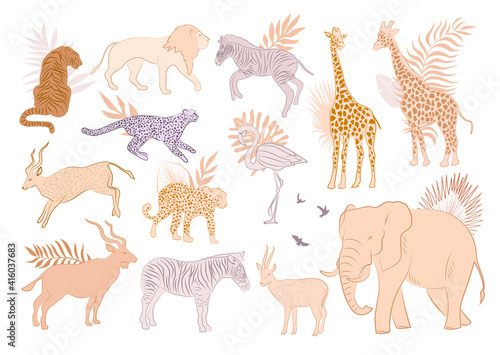 Collection of African wild animals and plants. Editable vector illustration.