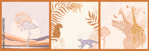 Photography Collection of square background with African wild animals, plants, leaves, abstract landscape and shape